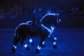 Pferde-Show "Kristallion" mit Artisten vom Showteam Grundler im Haupt- und LandesgestÃ¼t Marbach 2012