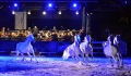 marbach-classics_niethammer_105
