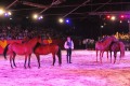 Marbach Classics 2015_Foto S. Kube_041