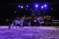 Marbach Classics 2015_Foto S. Kube_045