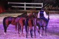 Marbach Classics 2015_Foto S. Kube_124
