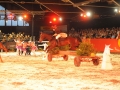 Marbach Classics 2015_Foto S. Kube_035