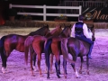 Marbach Classics 2015_Foto S. Kube_124
