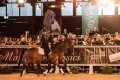 MC 2017_Foto Maresa Mader_3503