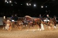Marbach Classics 2018_Foto Warnack_1