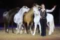 Marbach Classics 2018_Foto Warnack_42