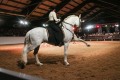 Marbach Classics 2018_Foto Warnack_52