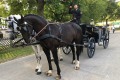 Marbach Classics 2019_Foto Thomas Warnack
