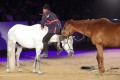 Marbach Classics 2019_Foto Thomas Warnack
