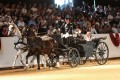Marbach Classics 2019_Foto Thomas Warnack