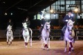 Marbach Classics 2019_Foto Thomas Warnack