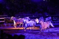 Marbach Classics 2019_Foto Thomas Warnack