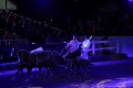 2022-06-24 Marbach Classics, Pferd, Mensch, Zauber, Finale