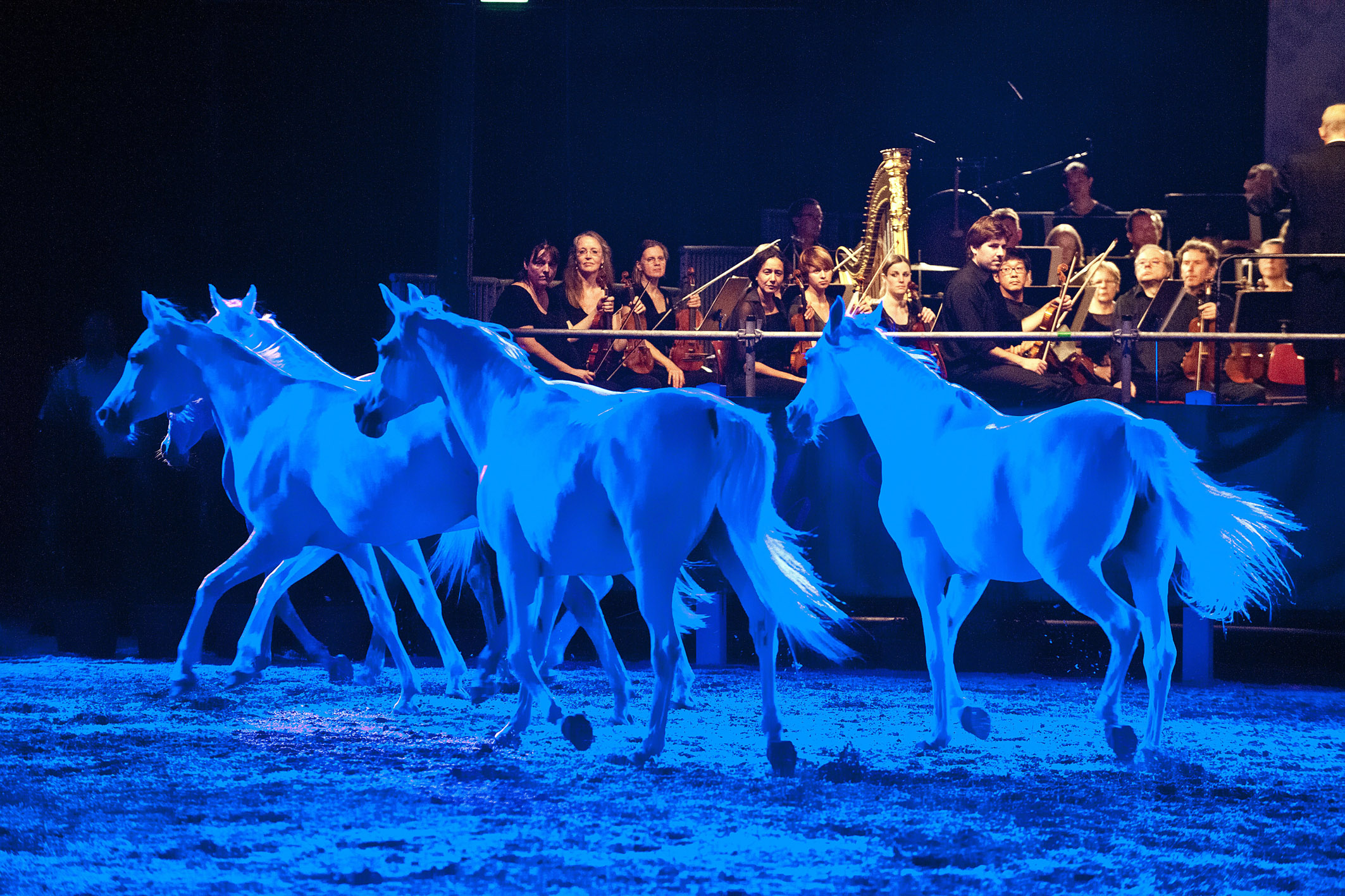 Marbach Classics 2015_Foto S. Kube_056