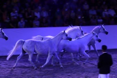 2022-06-24 Marbach Classics, Pferd, Mensch, Zauber, Finale