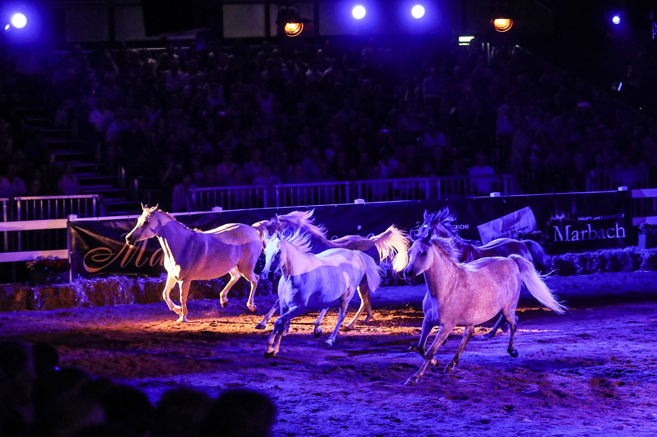 ProgramMarbachClassics44_Foto-Warnack